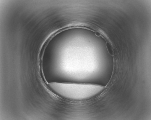 X0000062141124200512091010