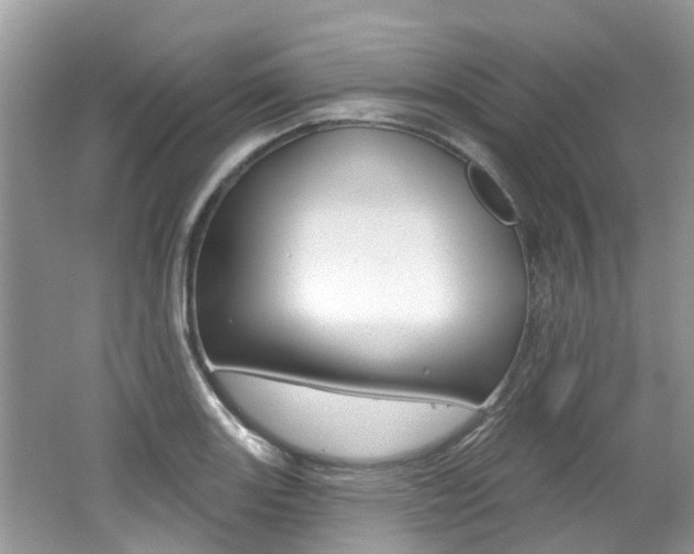 X0000062141131200512091010