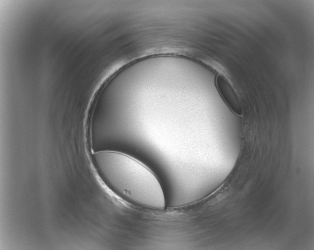 X0000062141135200512091010
