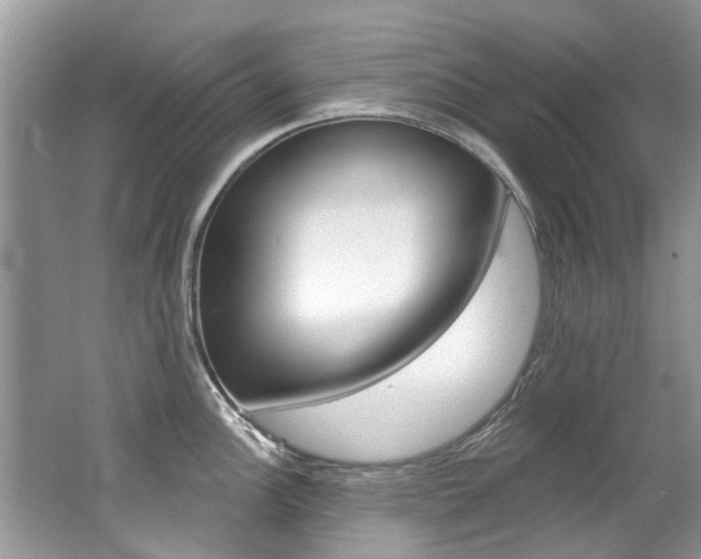 X0000062141148200512091010