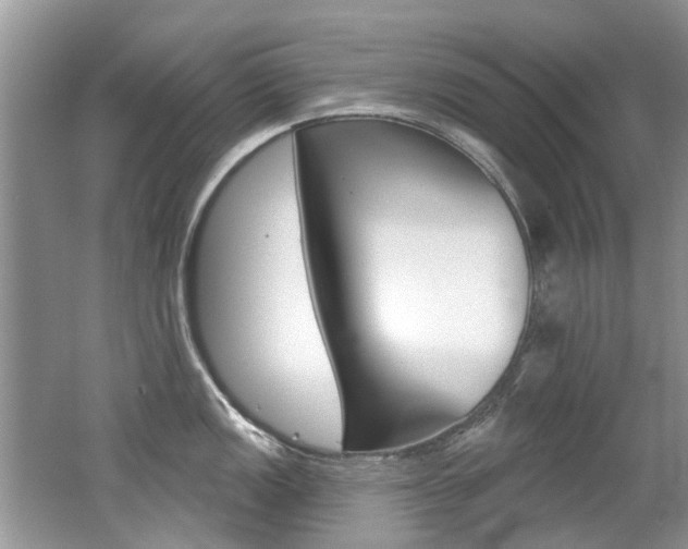 X0000062141149200512091010