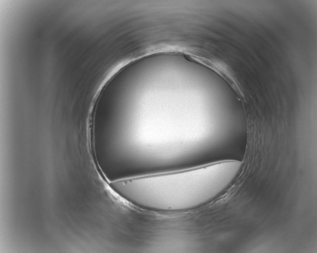 X0000062141151200512091010