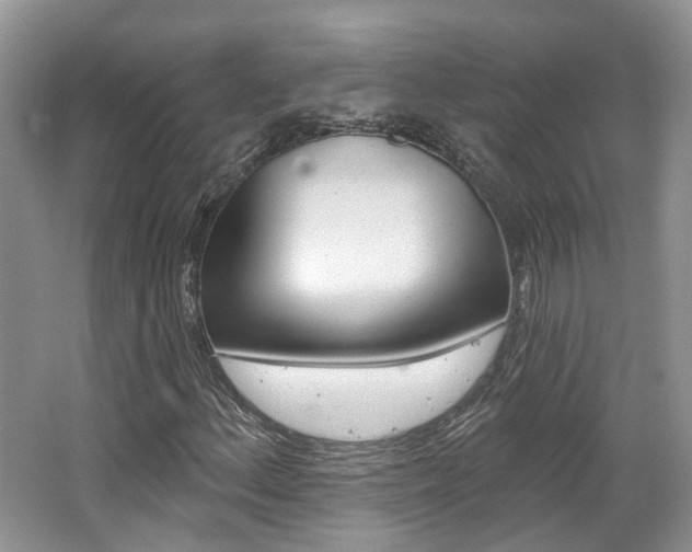 X0000062141156200512091009