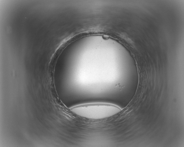 X0000062141160200512091009