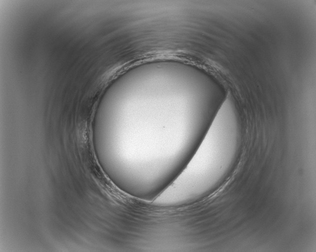 X0000062141161200512091009