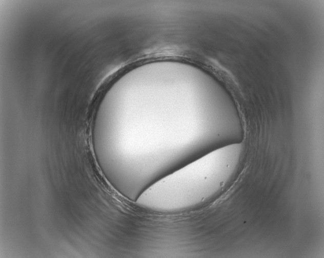 X0000062141166200512091009