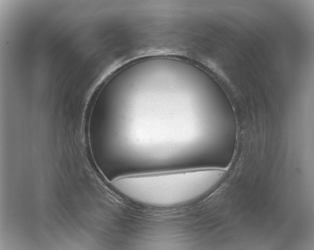 X0000062141173200512091009