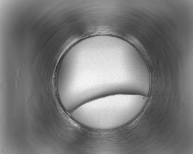 X0000062141190200512091009
