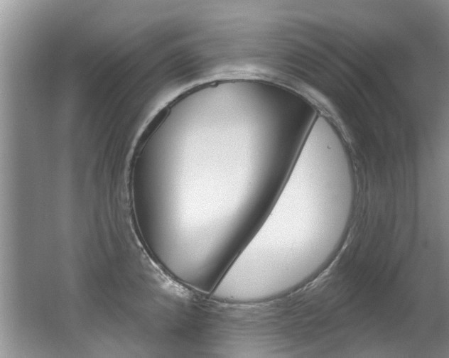 X0000062141192200512091009