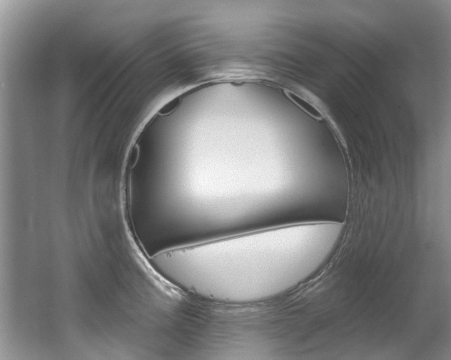 X0000062141195200512091008