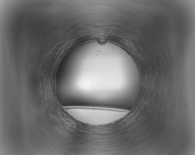 X0000062141201200512091008