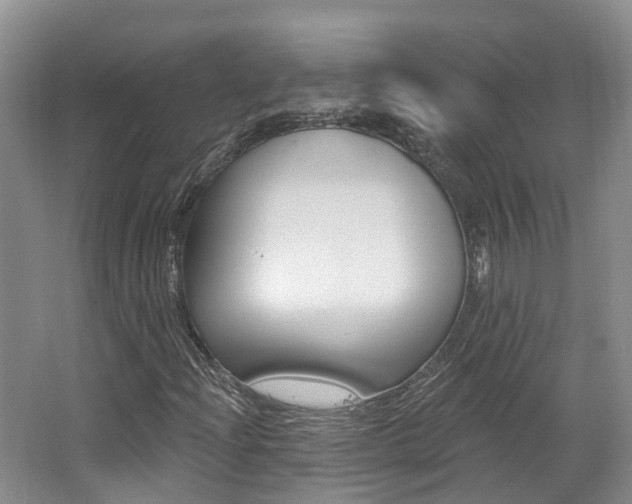 X0000062141204200512091008