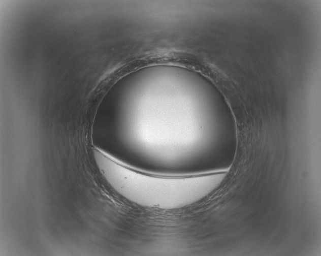 X0000062141206200512091008