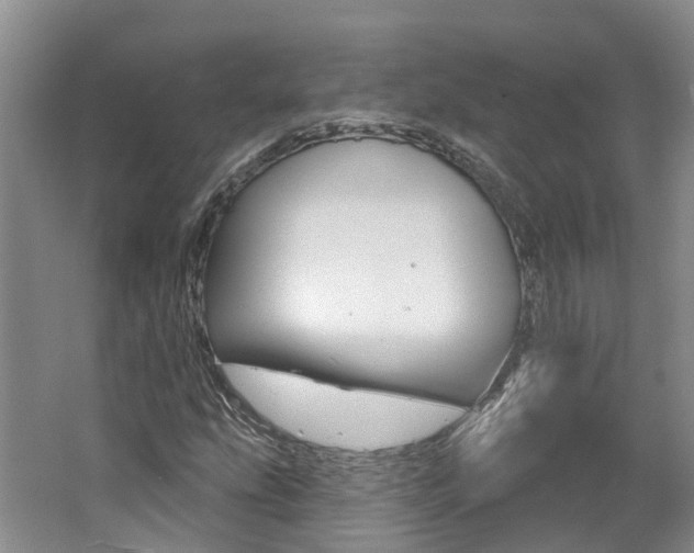 X0000062141207200512091008