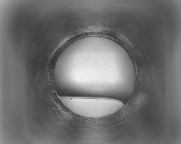 X0000062141208200512091008