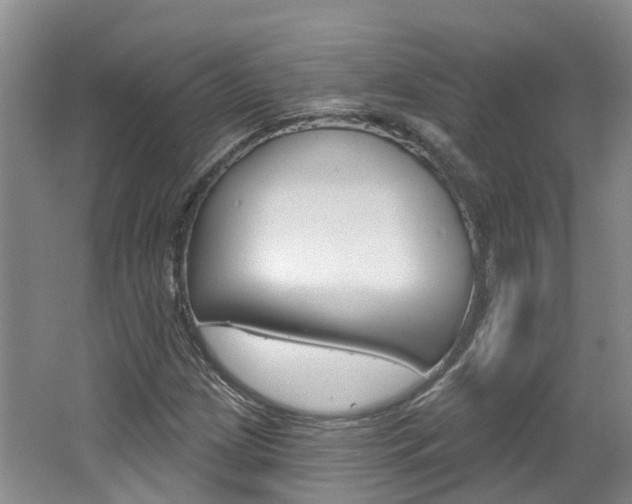 X0000062141209200512091008