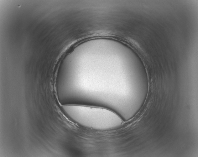 X0000062141212200512091008