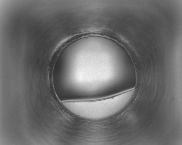 X0000062141214200512091008