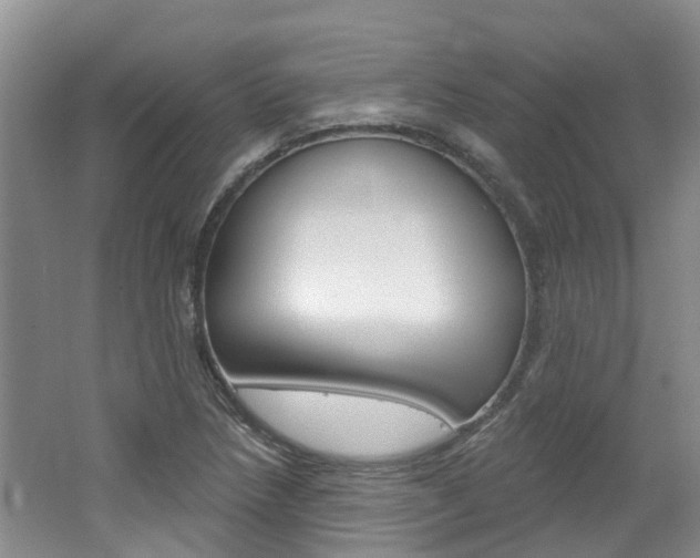 X0000062141218200512091008