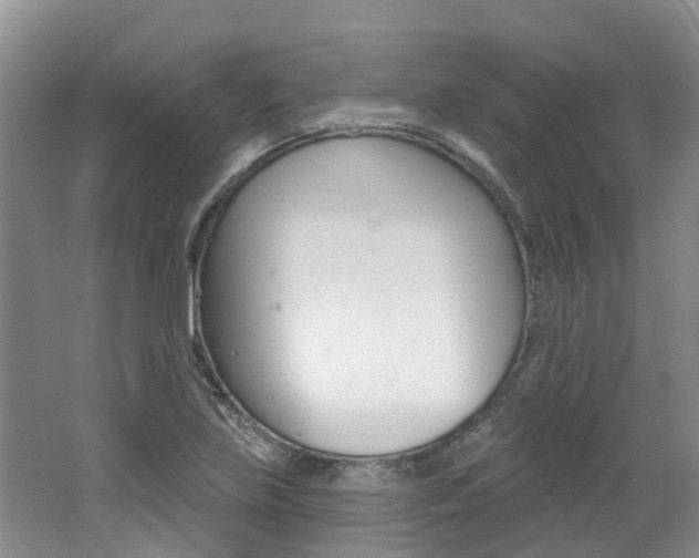 X0000062141219200512091008