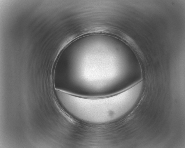X0000062141234200512091008