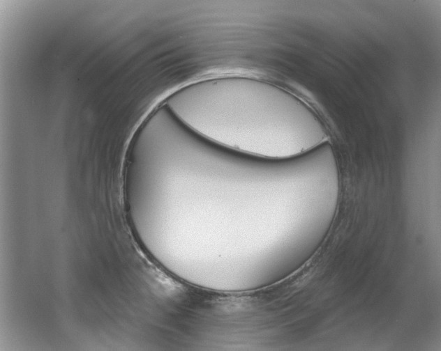 X0000062141236200512091008