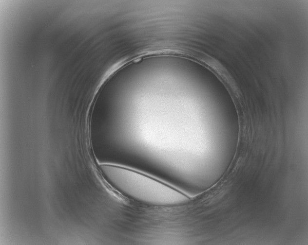 X0000062141242200512091008