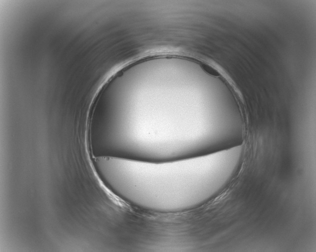 X0000062141245200512091008