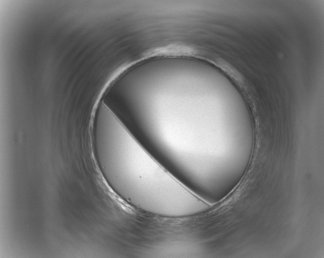 X0000062141248200512091008