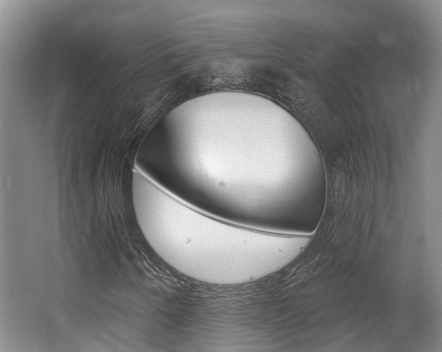 X0000062141250200512091008