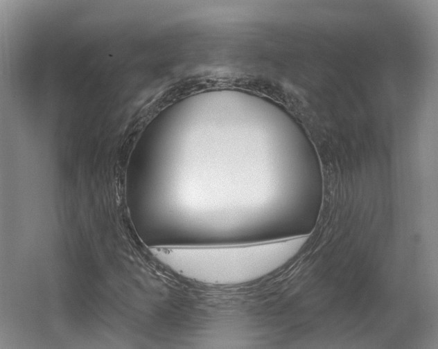 X0000062141253200512091007