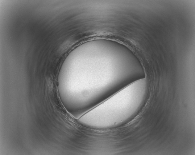 X0000062141257200512091007
