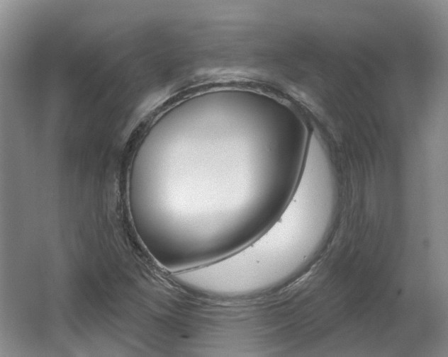 X0000062141261200512091007