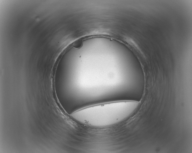X0000062141268200512091007