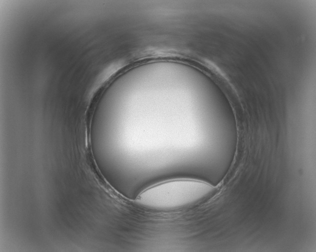 X0000062141269200512091007