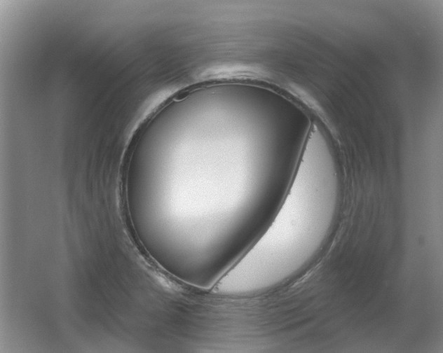 X0000062141277200512091007