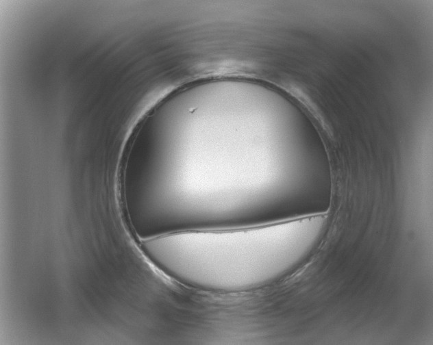 X0000062141285200512091007