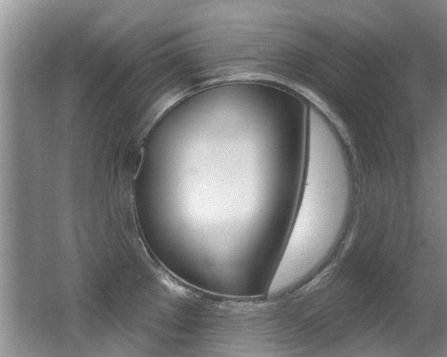 X0000062141289200512091007