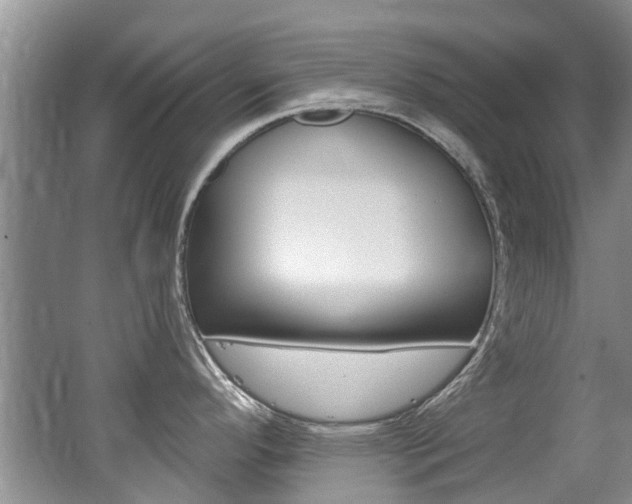 X0000062141296200512091007