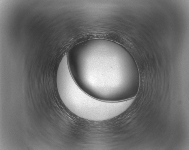 X0000062141298200512091006
