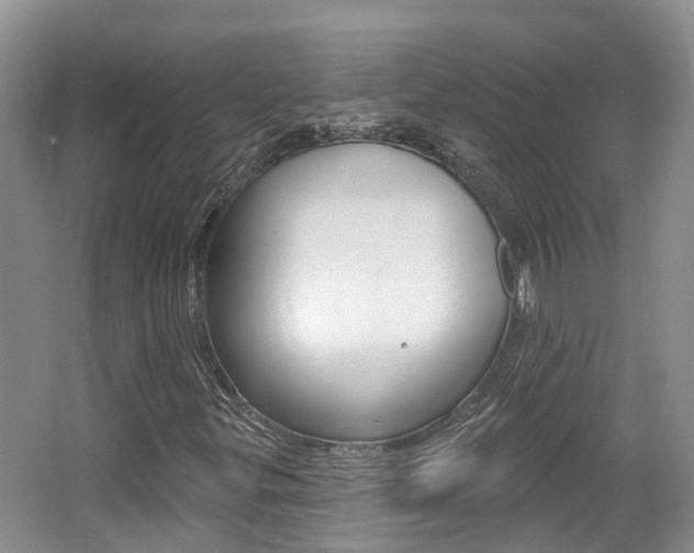 X0000062141299200512091006