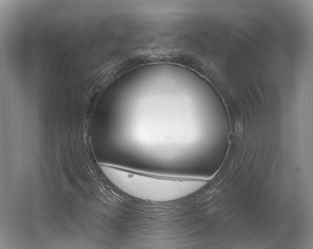 X0000062141300200512091006