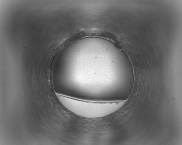 X0000062141301200512091006