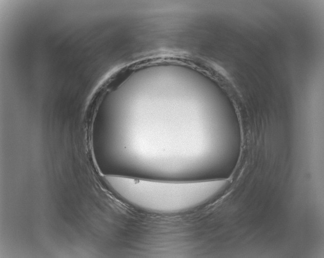 X0000062141310200512091006