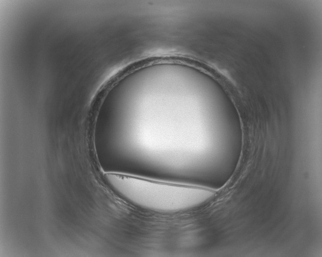 X0000062141311200512091006