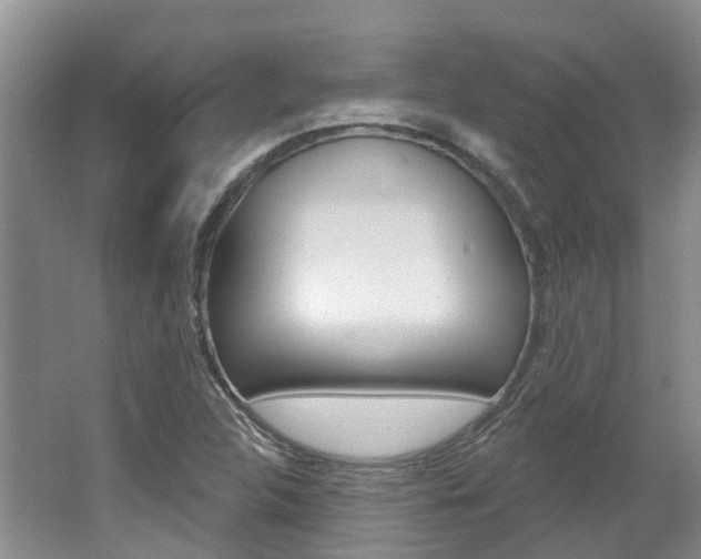 X0000062141312200512091006