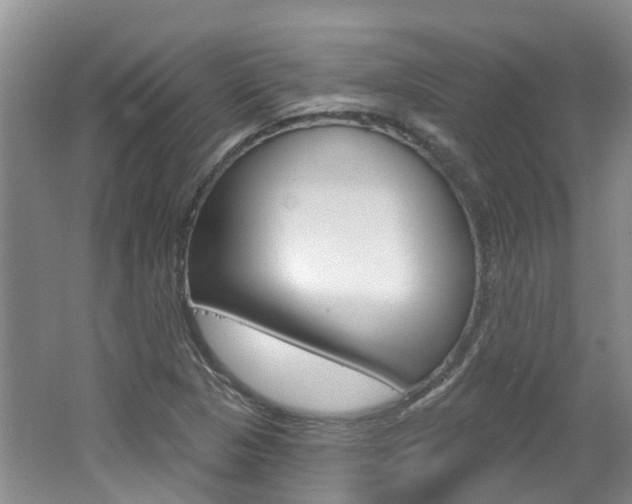 X0000062141313200512091006