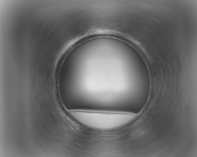 X0000062141319200512091006