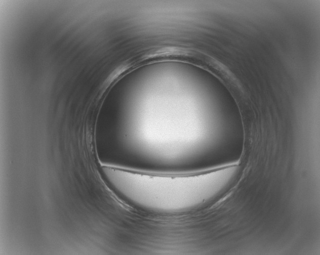 X0000062141321200512091006
