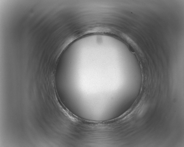 X0000062141329200512091006